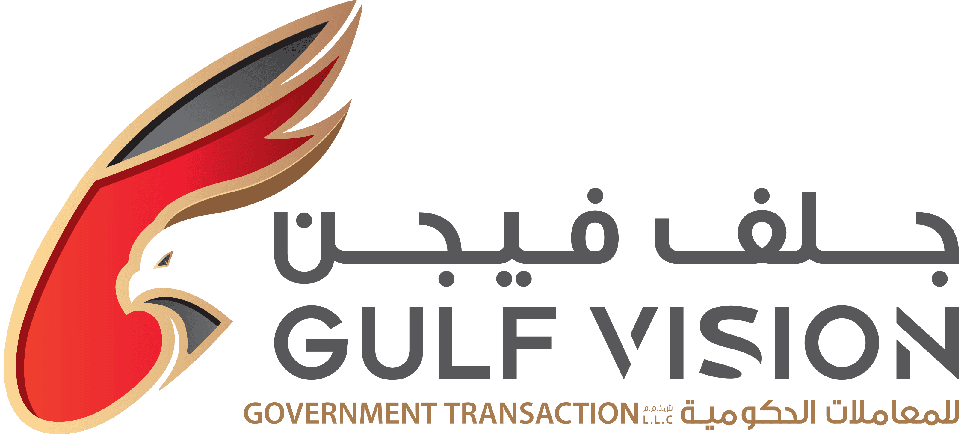 GULF VISION